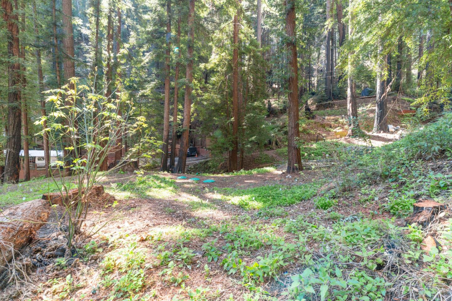 11800 Clear Creek Road Brookdale, CA 95007 - Photo 6 of 49