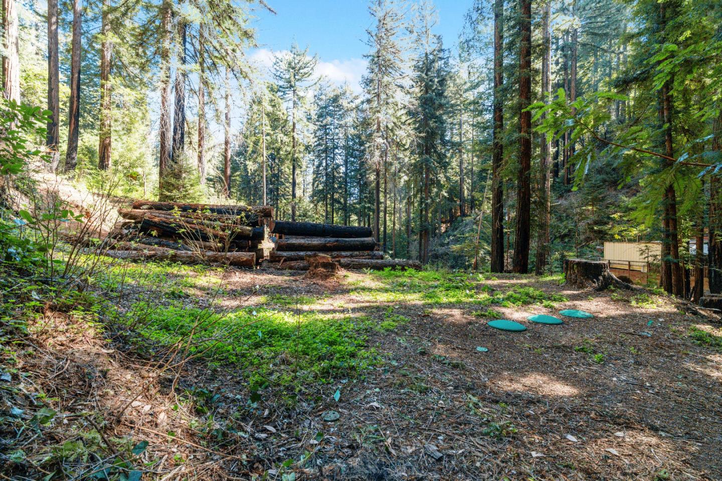 11800 Clear Creek Road Brookdale, CA 95007 - Photo 7 of 49