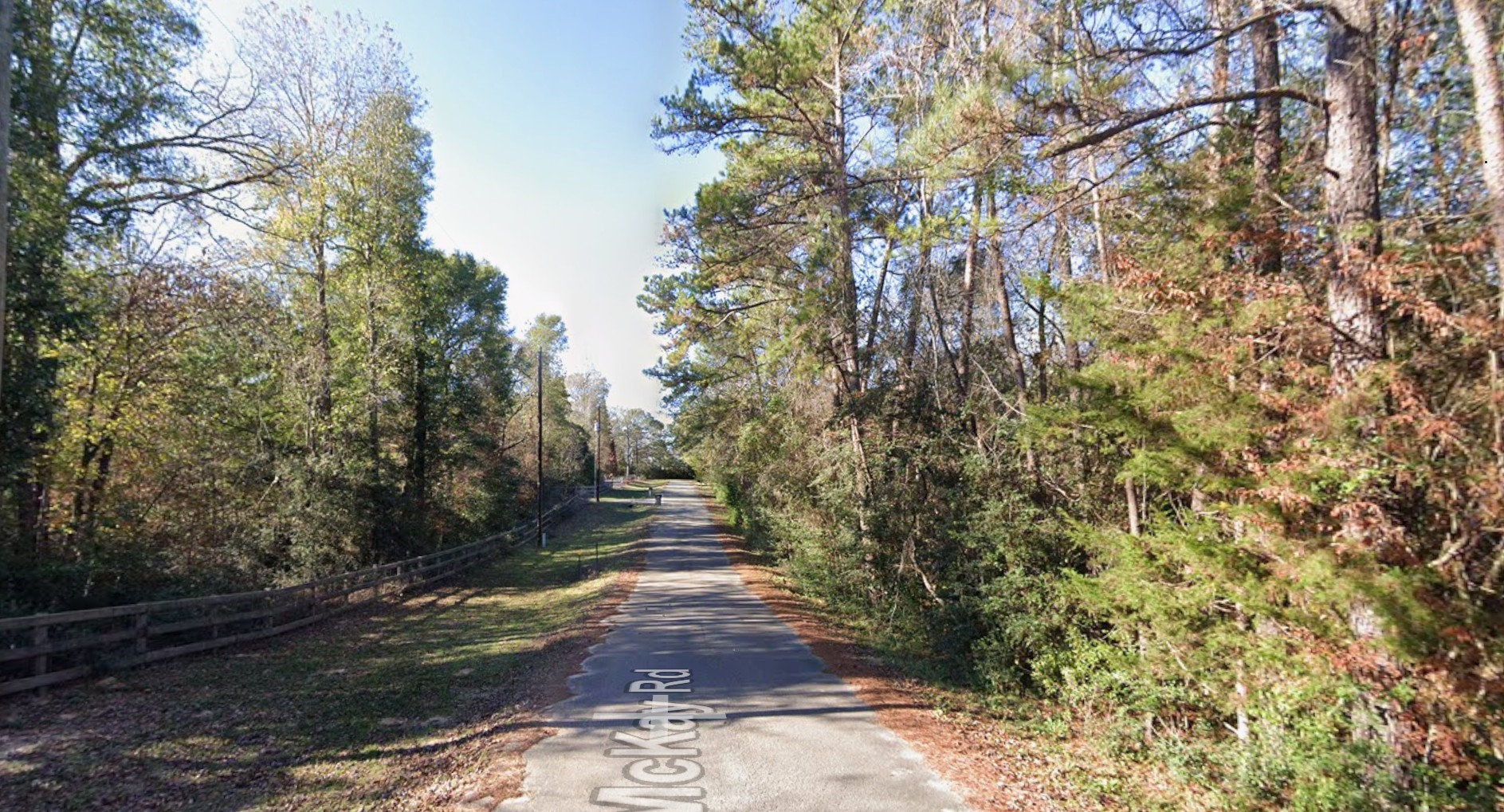a view of a pathway both side of yard