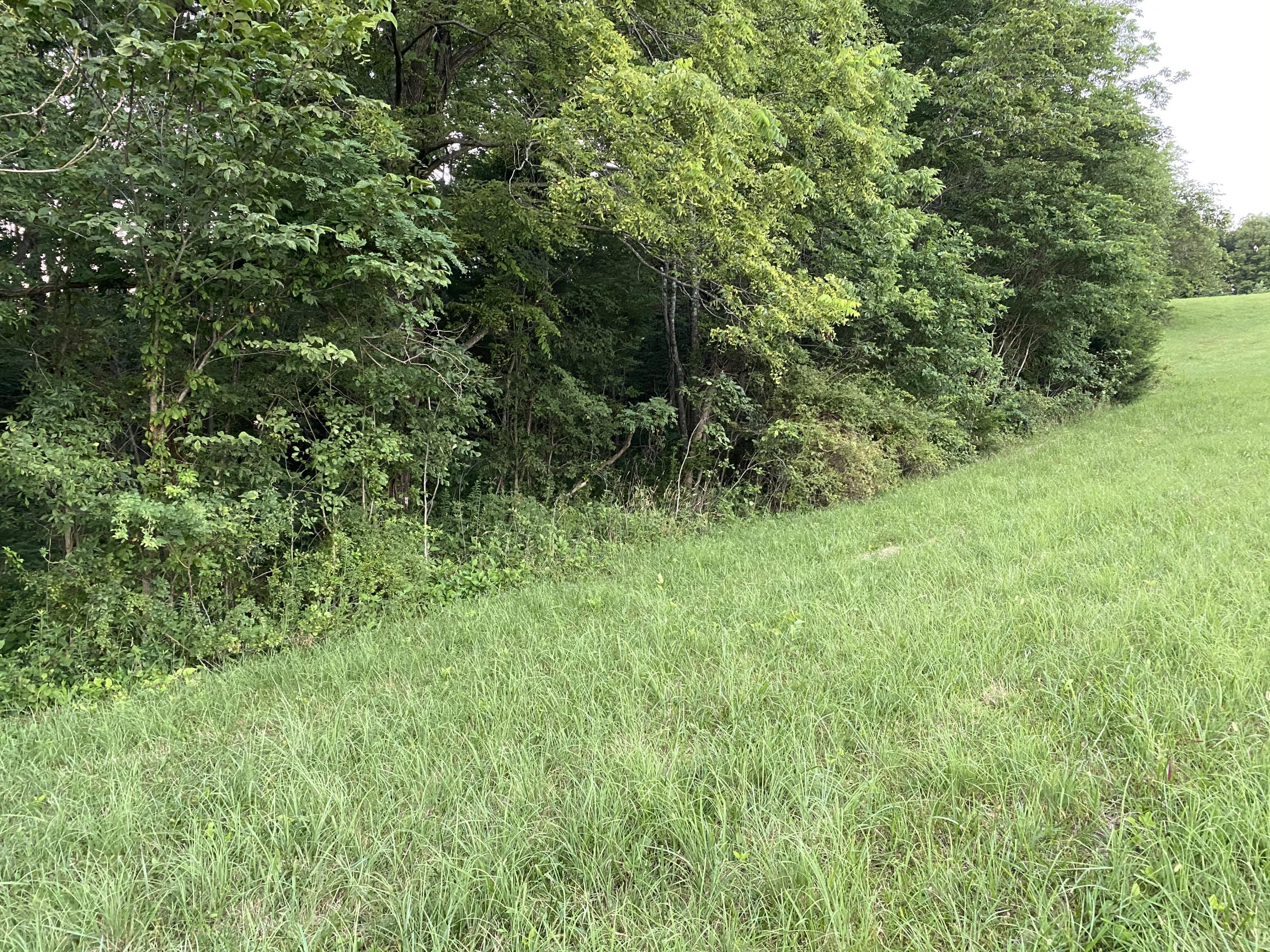 199 Joe Bowles Road Summer Shade, KY 42166 - Photo 5 of 6 Photo Jul 13, 7 58 08 PM