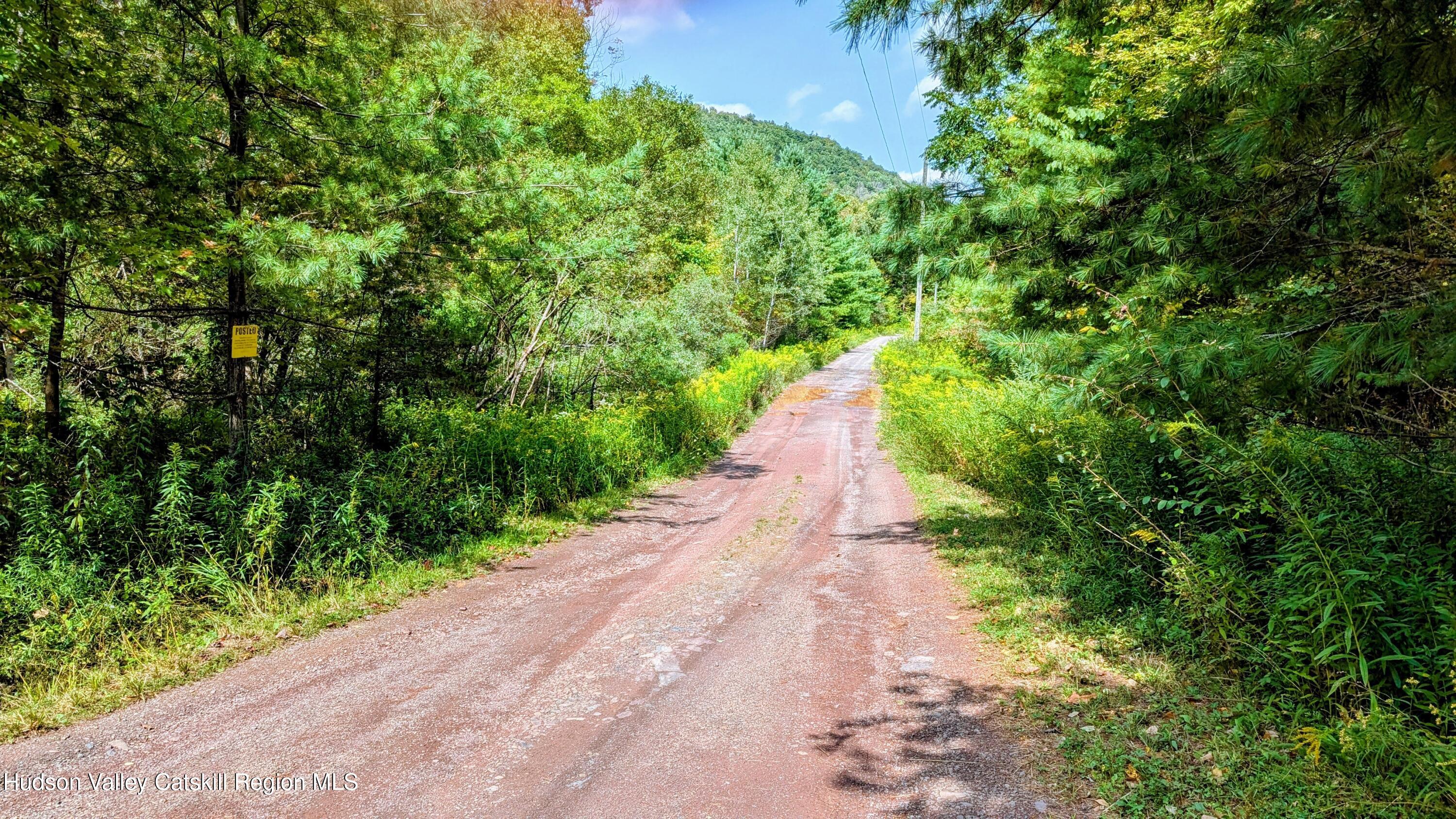 a view of a pathway both side of yard