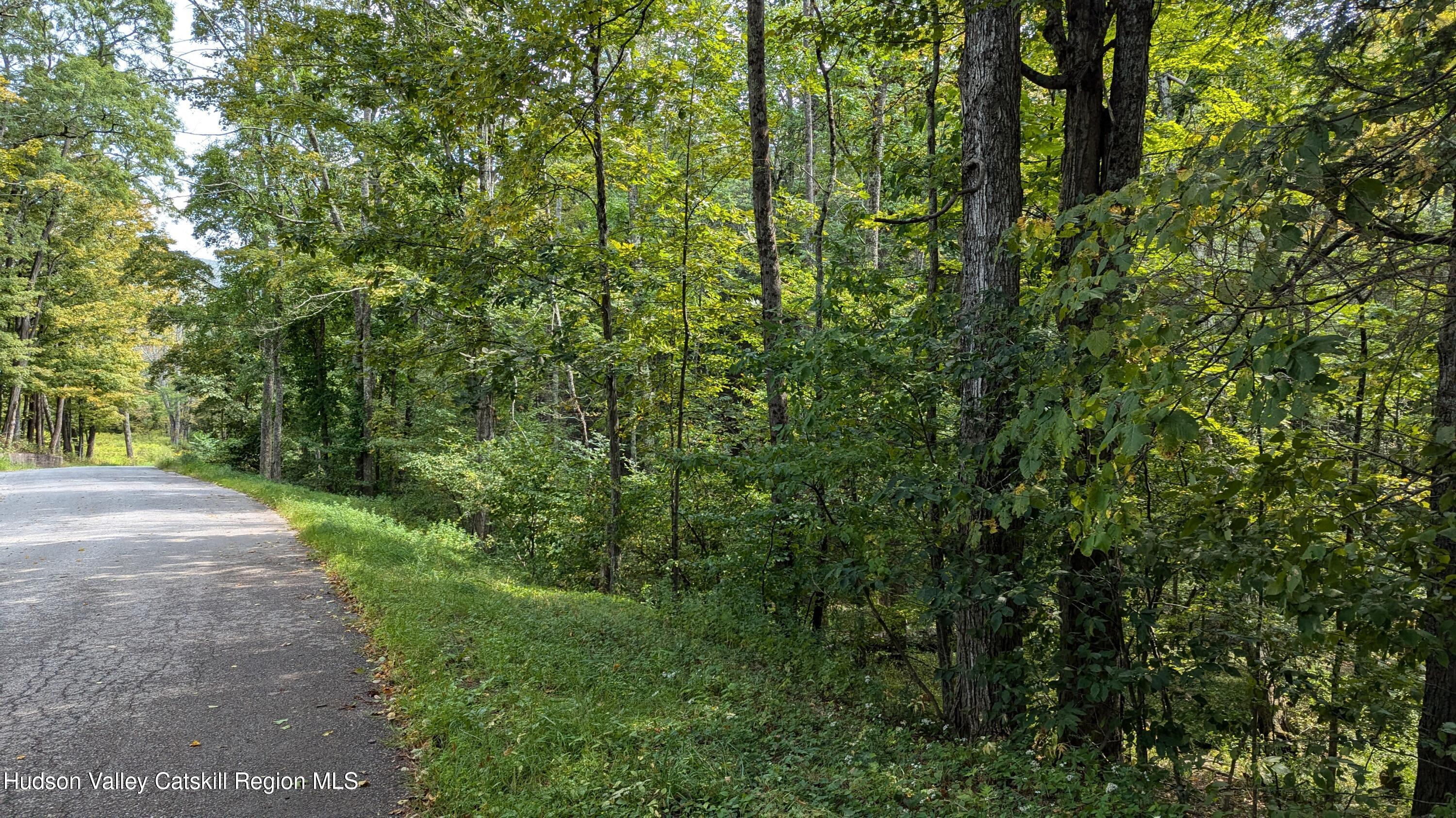 2 Cohen Road Prattsville, NY 12468 - Photo 2 of 3 a view of a yard