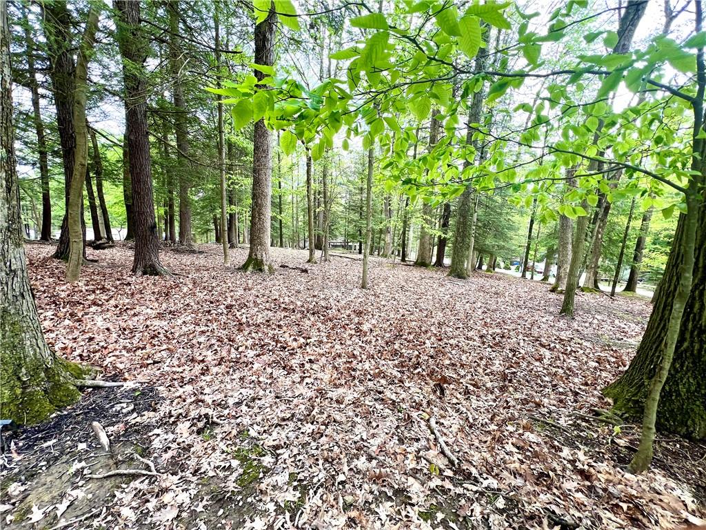 268 Harmony Drive Flinton, PA 16640 - Photo 3 of 19 a big yard with trees