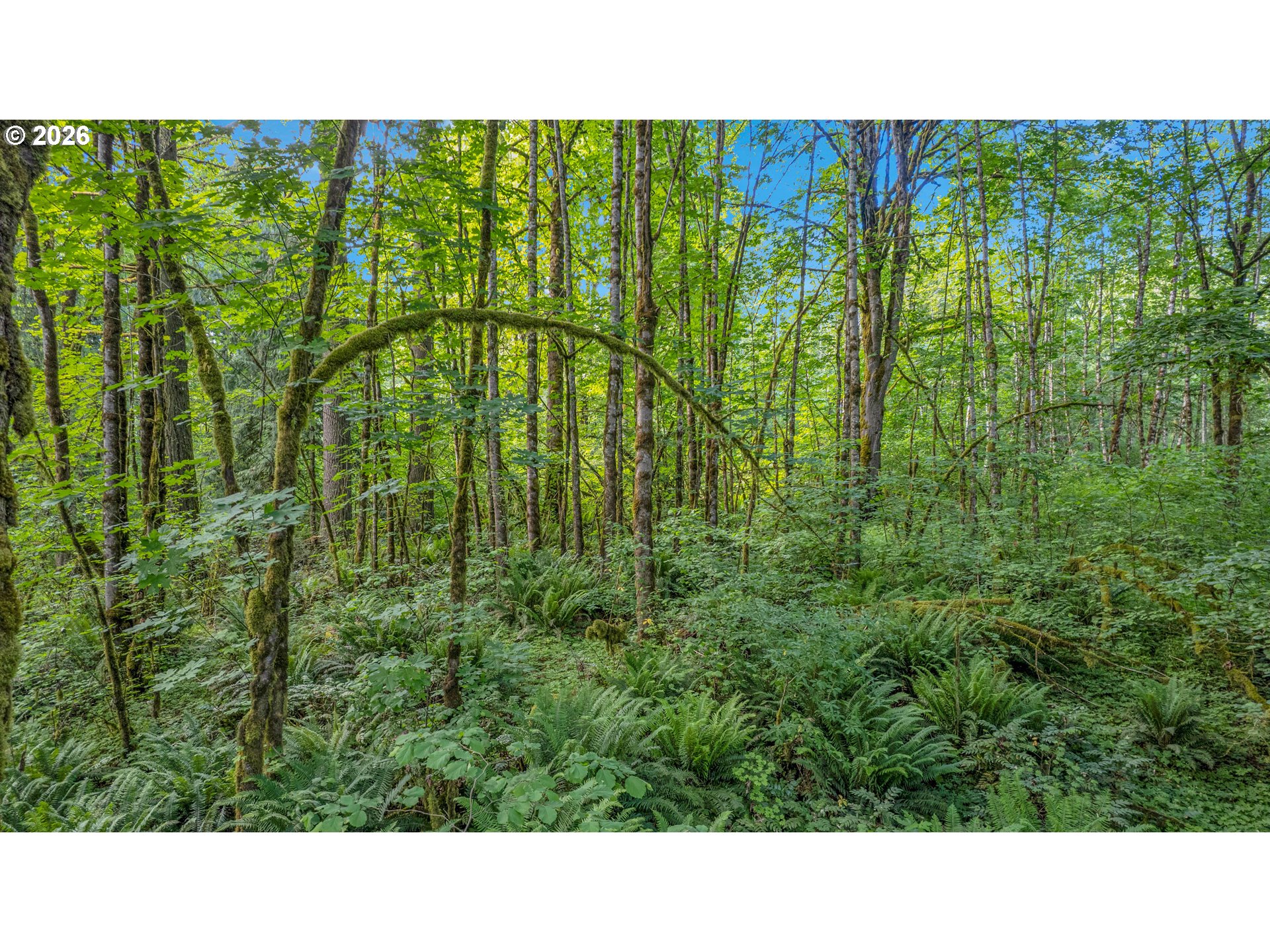 29805 Gregory Road Rainier, OR 97048 - Photo 38 of 43