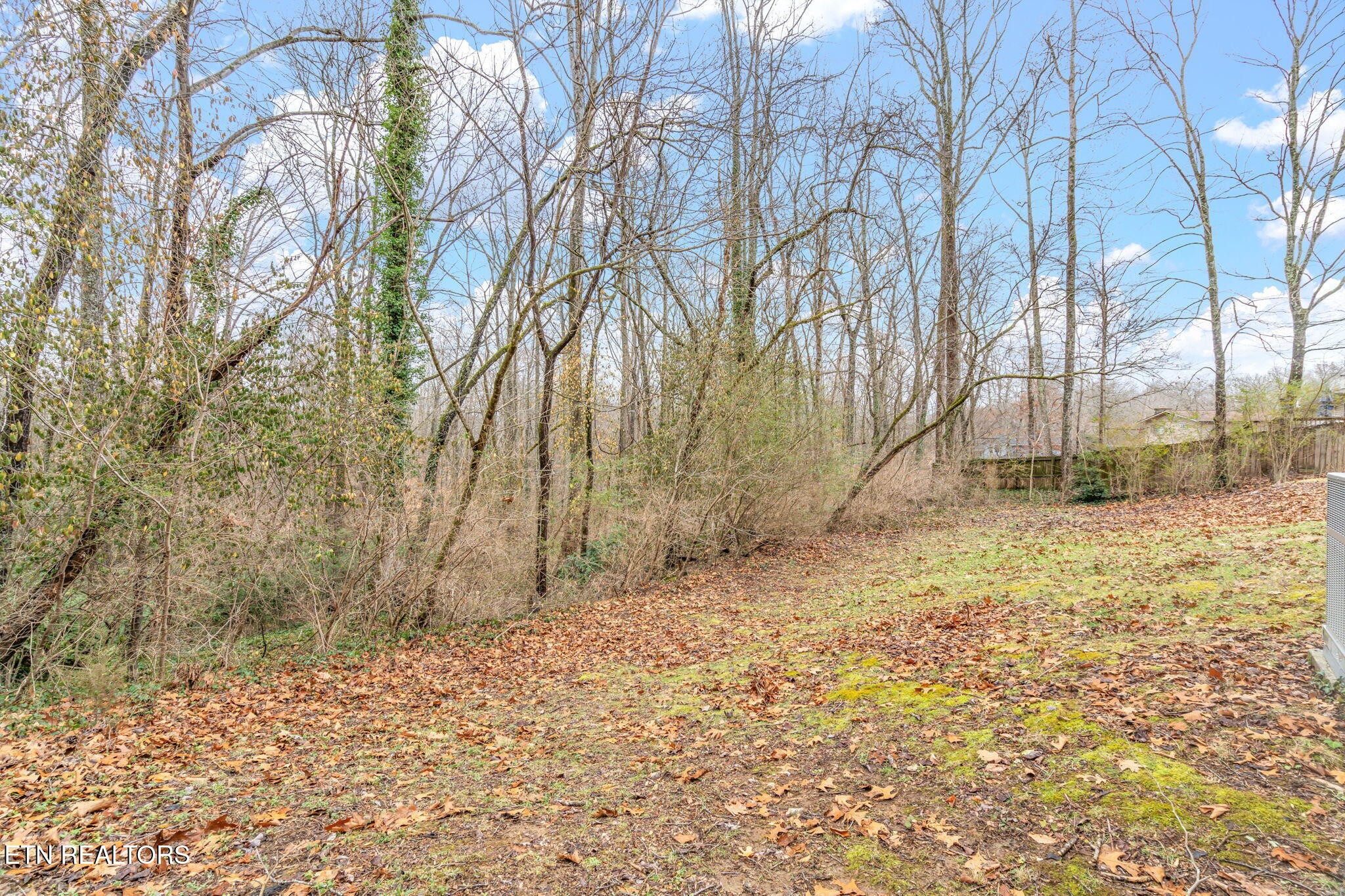 103 Norway Lane Oak Ridge, TN 37830 - Photo 45 of 54 Gallery Image 45