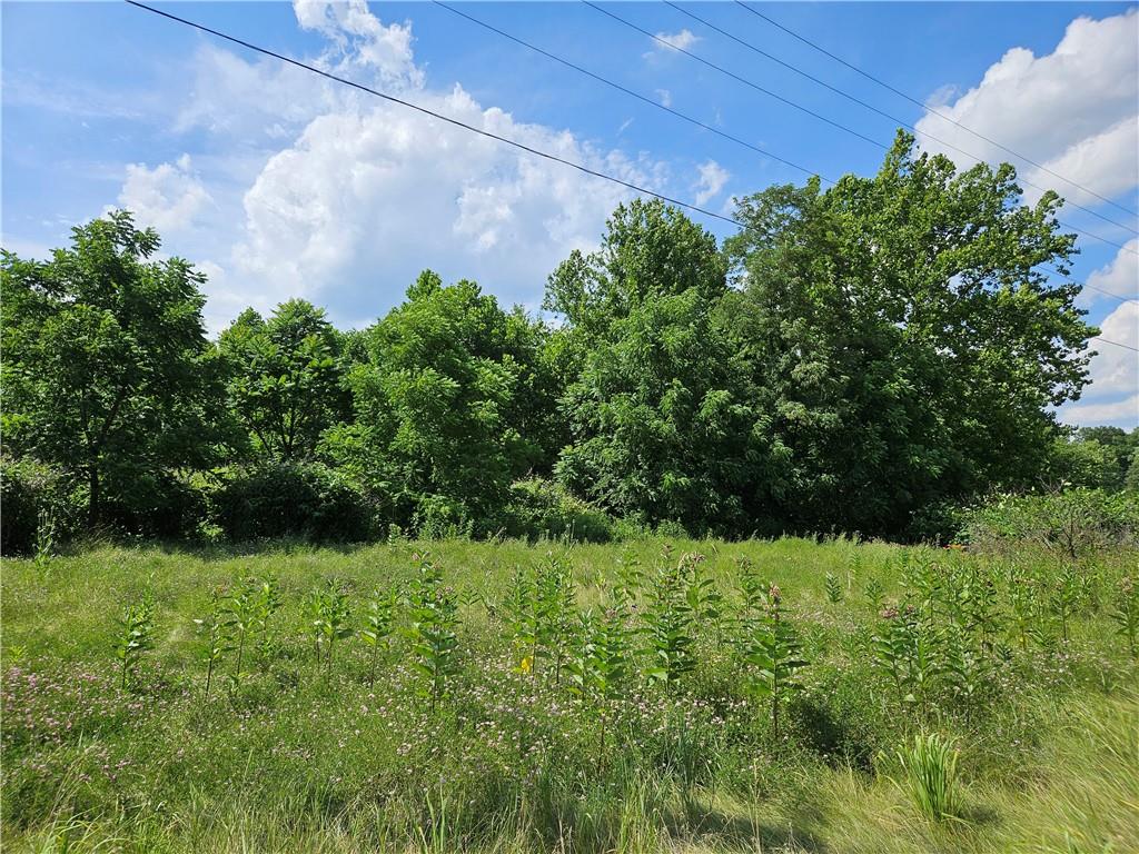 0 New Stanton Ruffsdale Road Ruffs Dale, PA 15679 - Photo 3 of 34 a view of a garden