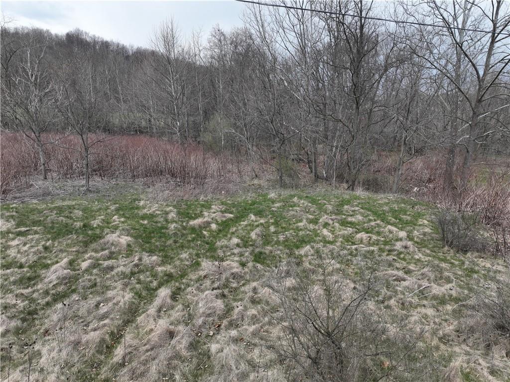 0 New Stanton Ruffsdale Road Ruffs Dale, PA 15679 - Photo 32 of 34 a view of a yard with a tree
