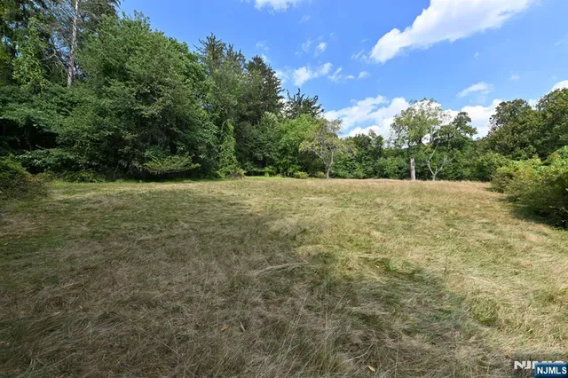 a view of an outdoor space and a yard