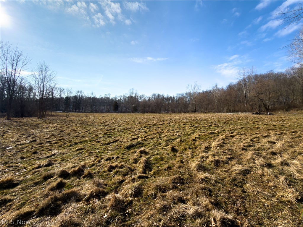 14178 West Road Wakeman, OH 44889 - Photo 20 of 35 View of local wilderness featuring rural landscape