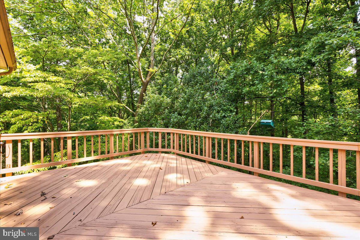 6819 Bluecurl Circle Springfield, VA 22152 - Photo 43 of 46