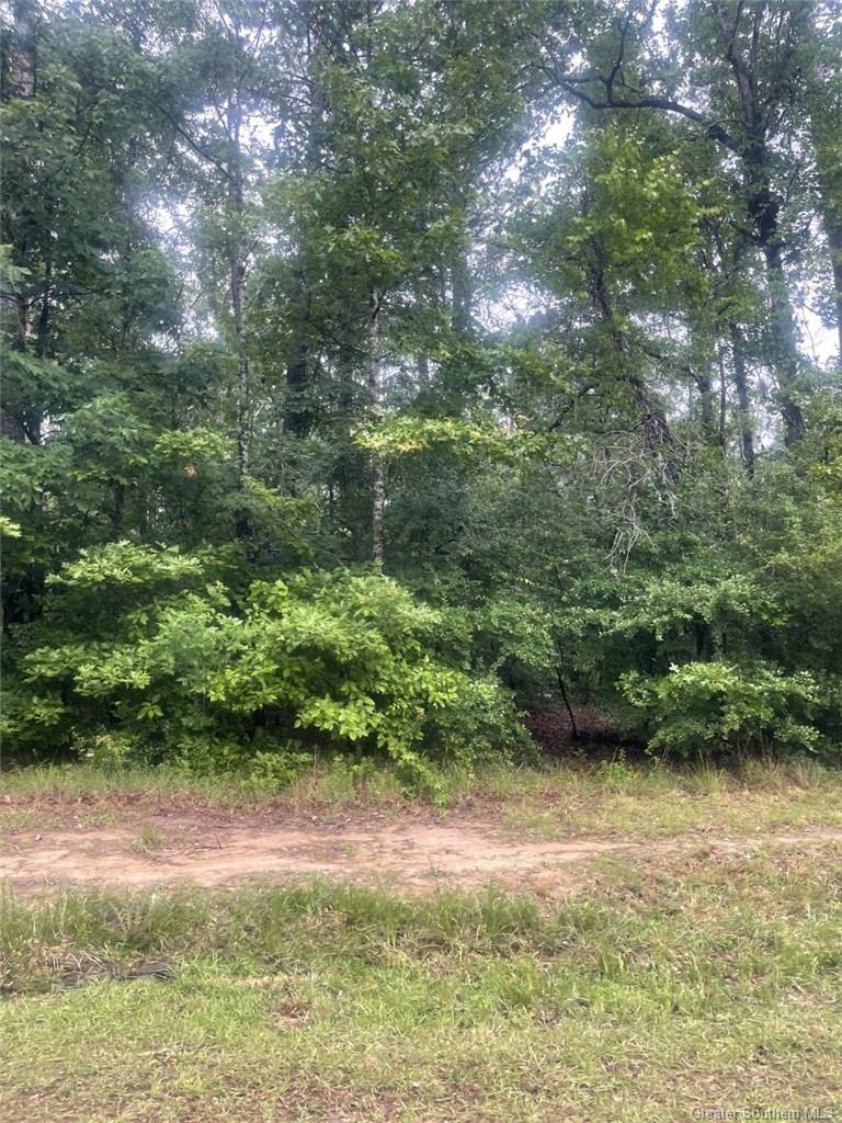 Ernest Drive Ragley, LA 70657 - Photo 2 of 2