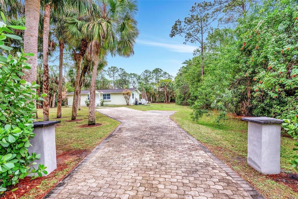 a view of a yard with plants and trees