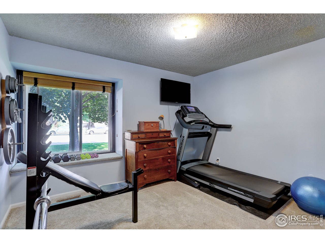 3007 Stanford Road Fort Collins, CO 80525 - Photo 21 of 32 Bedroom 3