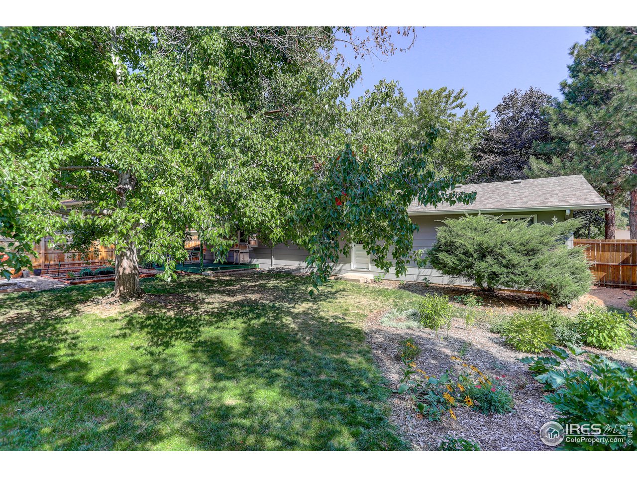 3007 Stanford Road Fort Collins, CO 80525 - Photo 27 of 32 Mature trees