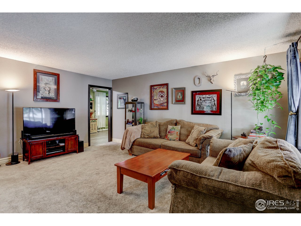 3007 Stanford Road Fort Collins, CO 80525 - Photo 3 of 32 Living Room