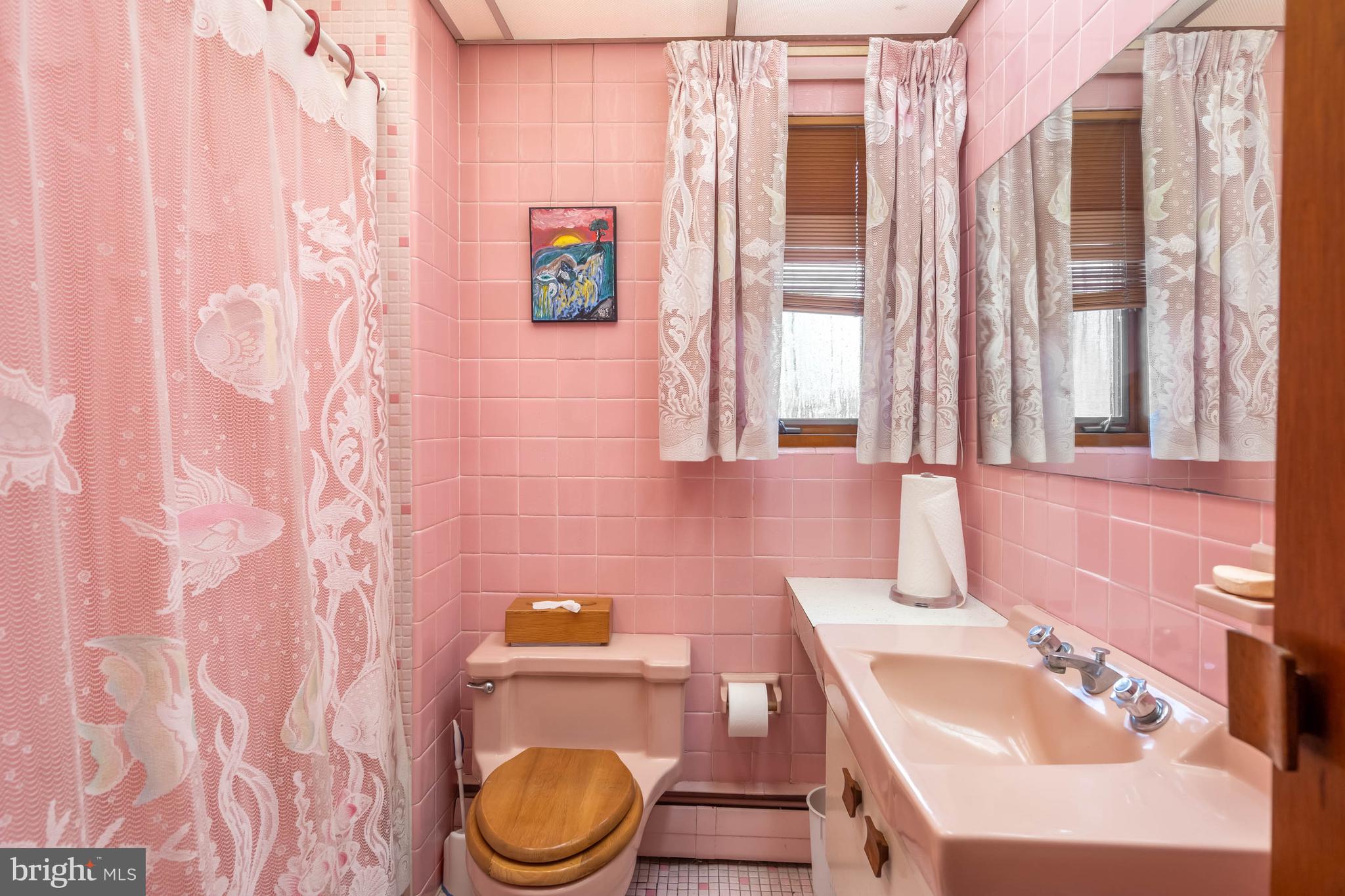 31266 River Road Millsboro, DE 19966 - Photo 30 of 47 a bathroom with a sink a toilet and a window