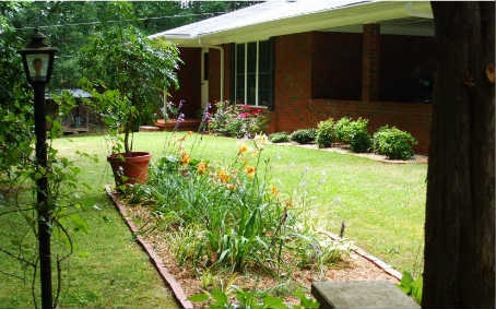 2963 River Road Mineral Bluff, GA 30559 - Photo 1 of 1 Main View