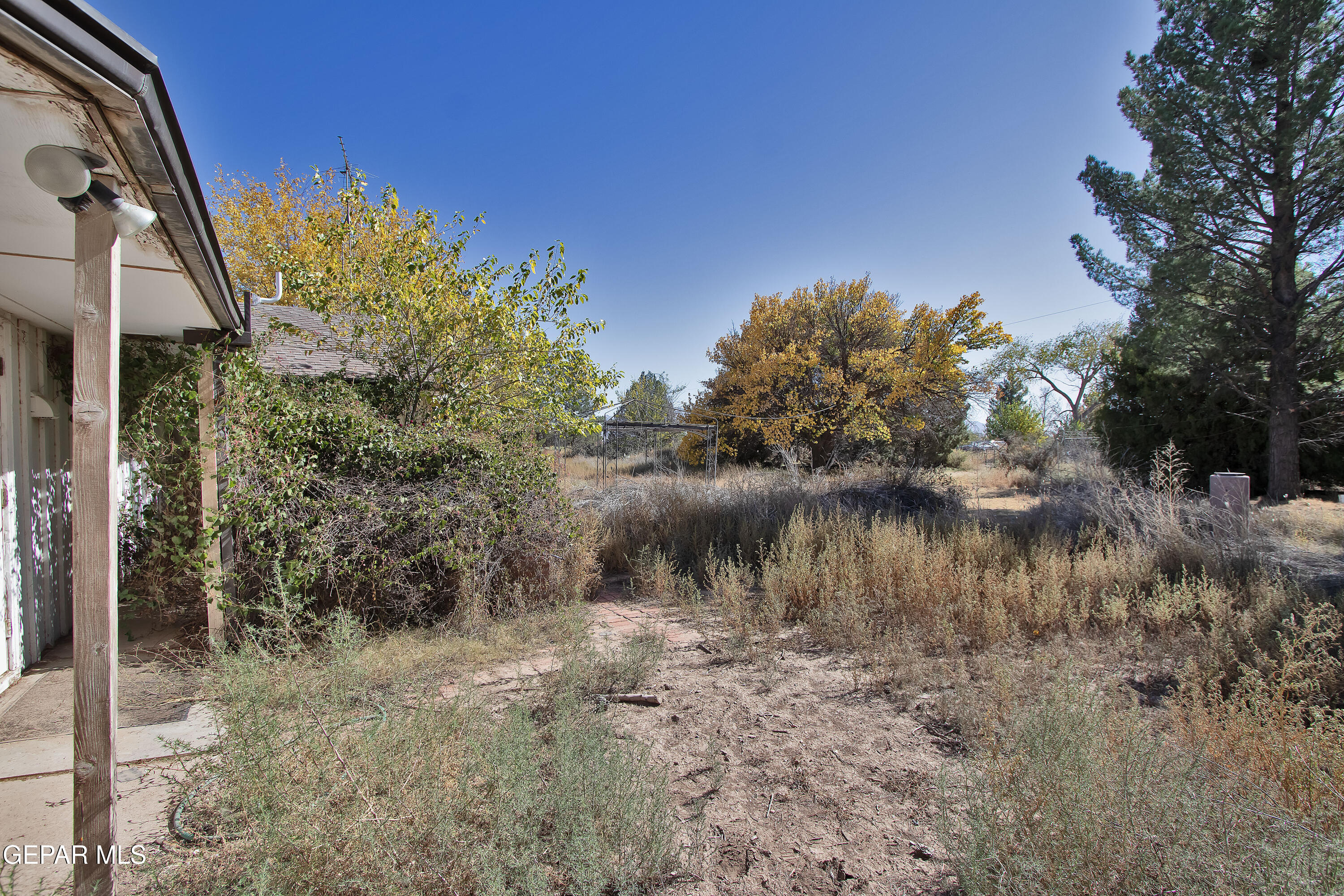 110 Southwest Creosote Road Deming, OUT OF SERVICE AREA 88030 - Photo 77 of 101 Backyard