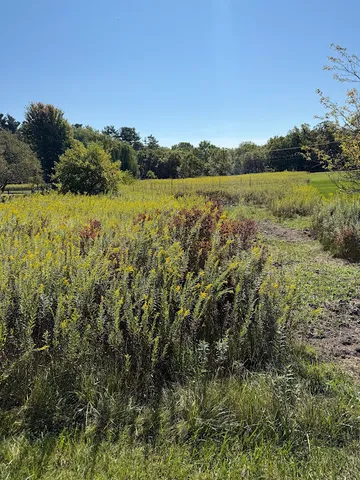 a view of lake with mountain in background