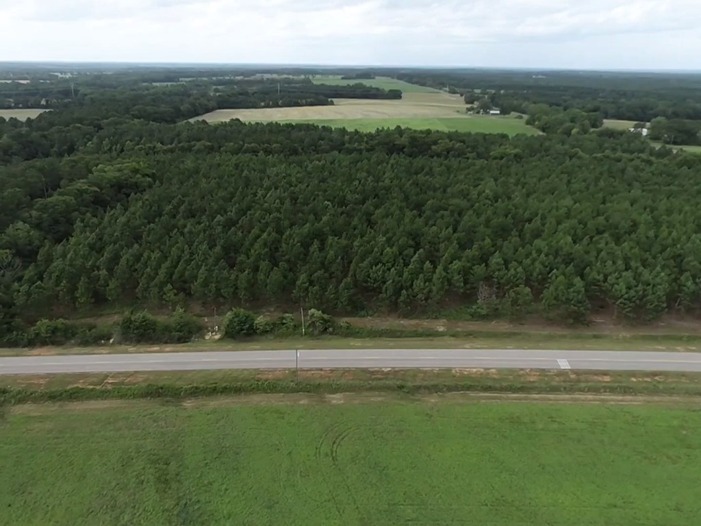 75/ Nuclear Plant Road Columbia, AL 36319 - Photo 30 of 34