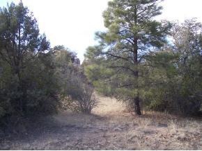 1400 Moyer Road Prescott, AZ 86303 - Photo 1 of 1 Primary Photo