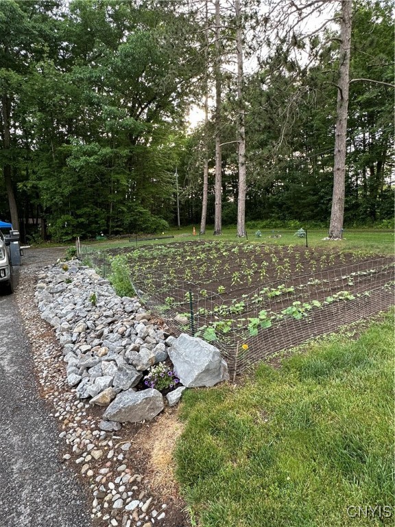 203 Old Heidelberg Road Vienna, NY 13042 - Photo 42 of 47 last year's garden