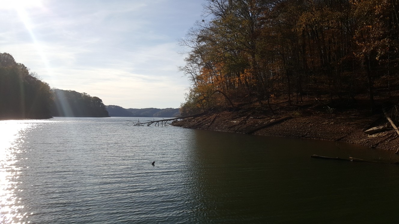 87 C Mallard Road Celina, TN 38551 - Photo 11 of 23 a view of lake