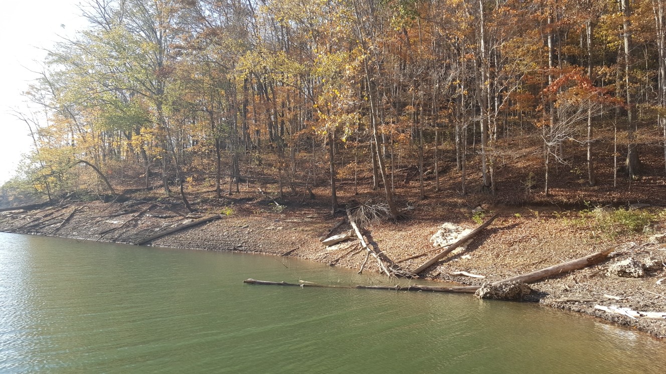 87 C Mallard Road Celina, TN 38551 - Photo 13 of 23 a view of lake view