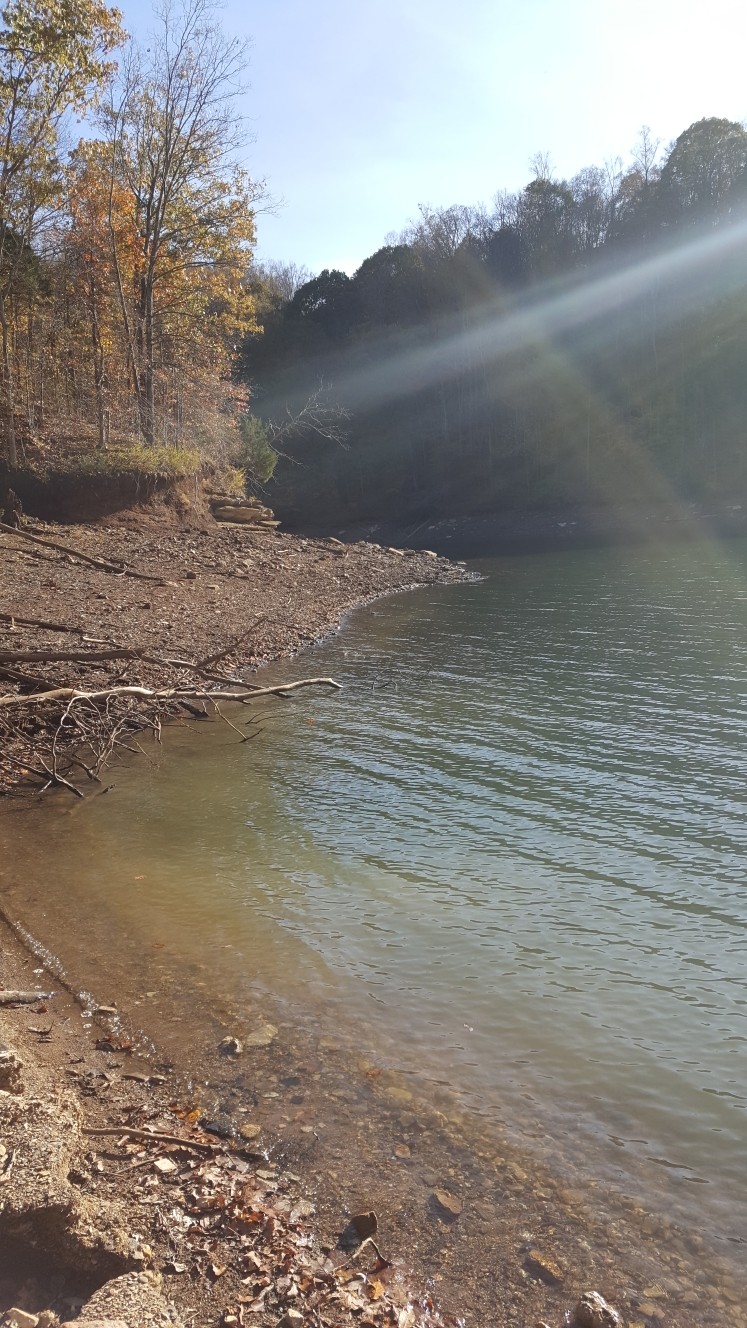 87 C Mallard Road Celina, TN 38551 - Photo 14 of 23 a view of lake