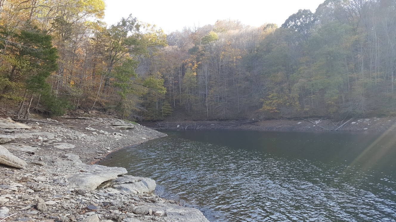 87 C Mallard Road Celina, TN 38551 - Photo 18 of 23 a view of a yard with trees in the background