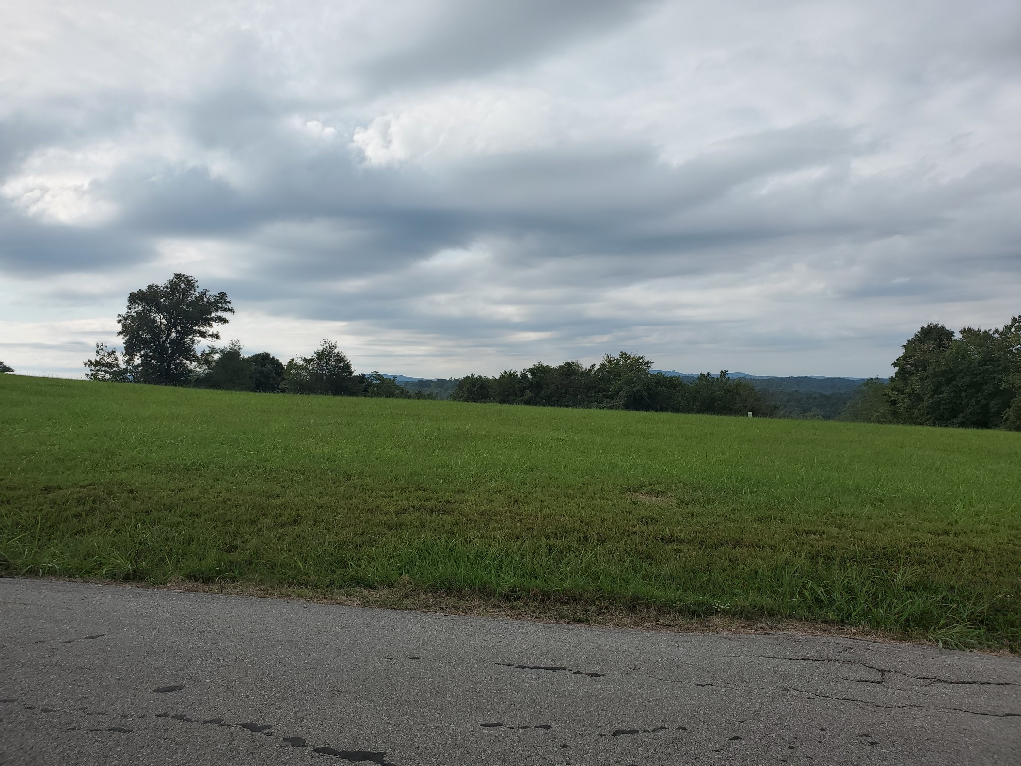 87 C Mallard Road Celina, TN 38551 - Photo 20 of 23 a view of a field with a big yard
