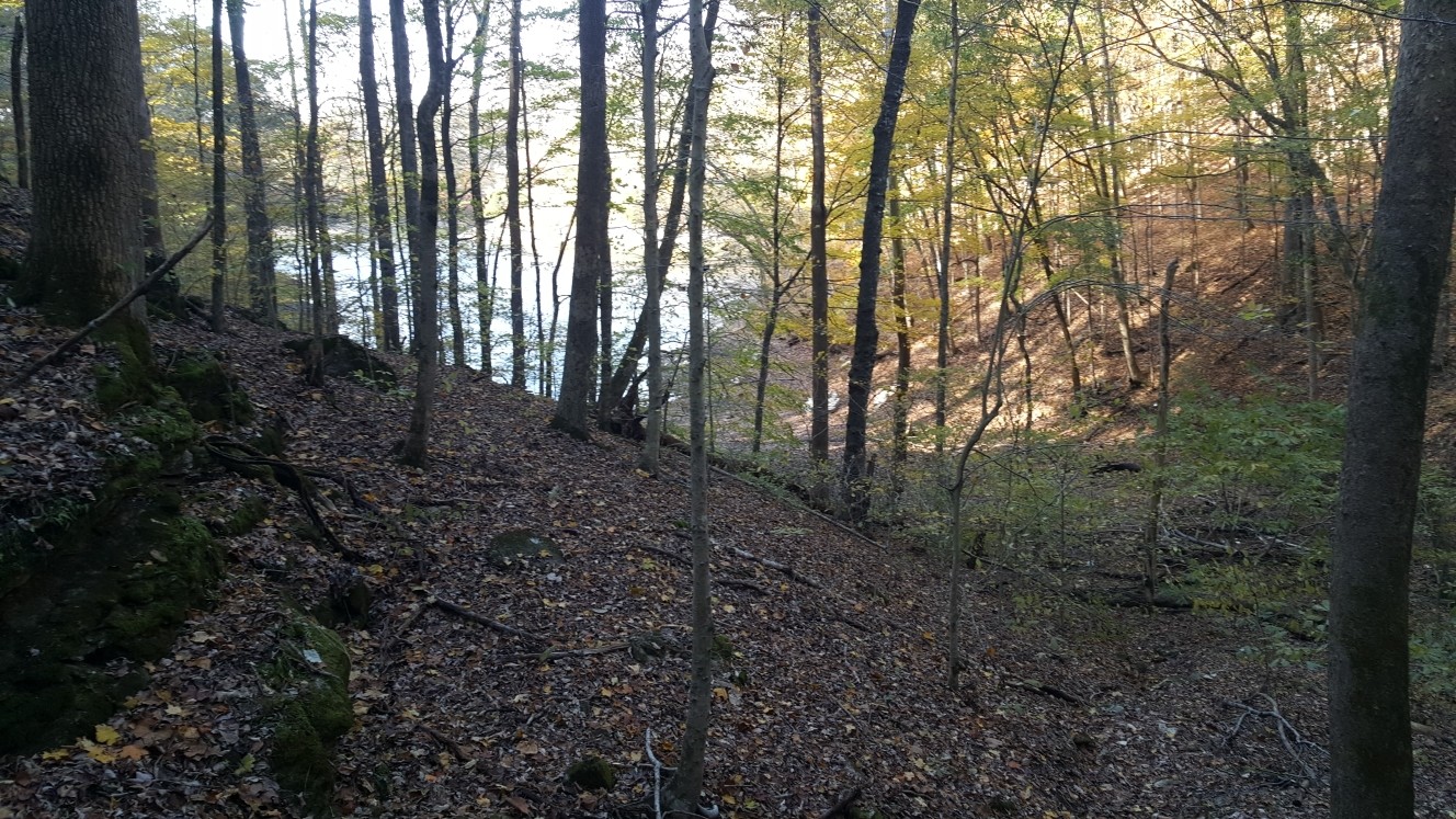 87 C Mallard Road Celina, TN 38551 - Photo 22 of 23 a view of forest