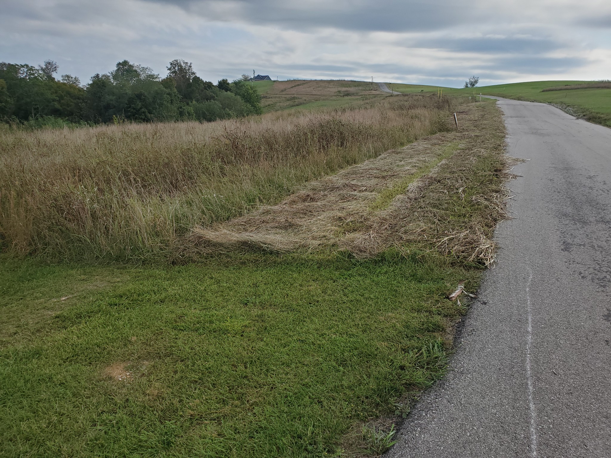87 C Mallard Road Celina, TN 38551 - Photo 6 of 23 a view of a lake from a yard