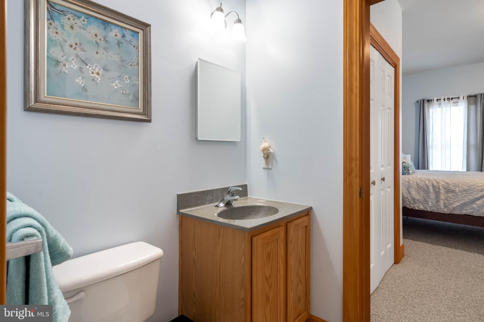 34521 Bookhammer Landing Road Lewes, DE 19958 - Photo 16 of 43 Downstairs primary ensuite