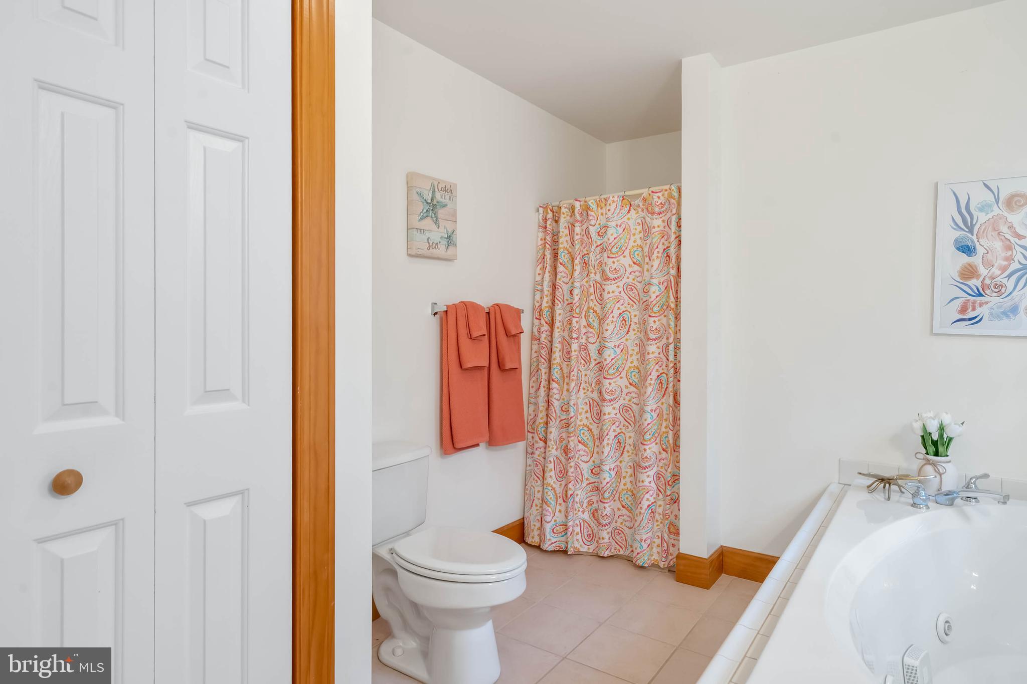 34521 Bookhammer Landing Road Lewes, DE 19958 - Photo 22 of 43 Upstairs primary ensuite