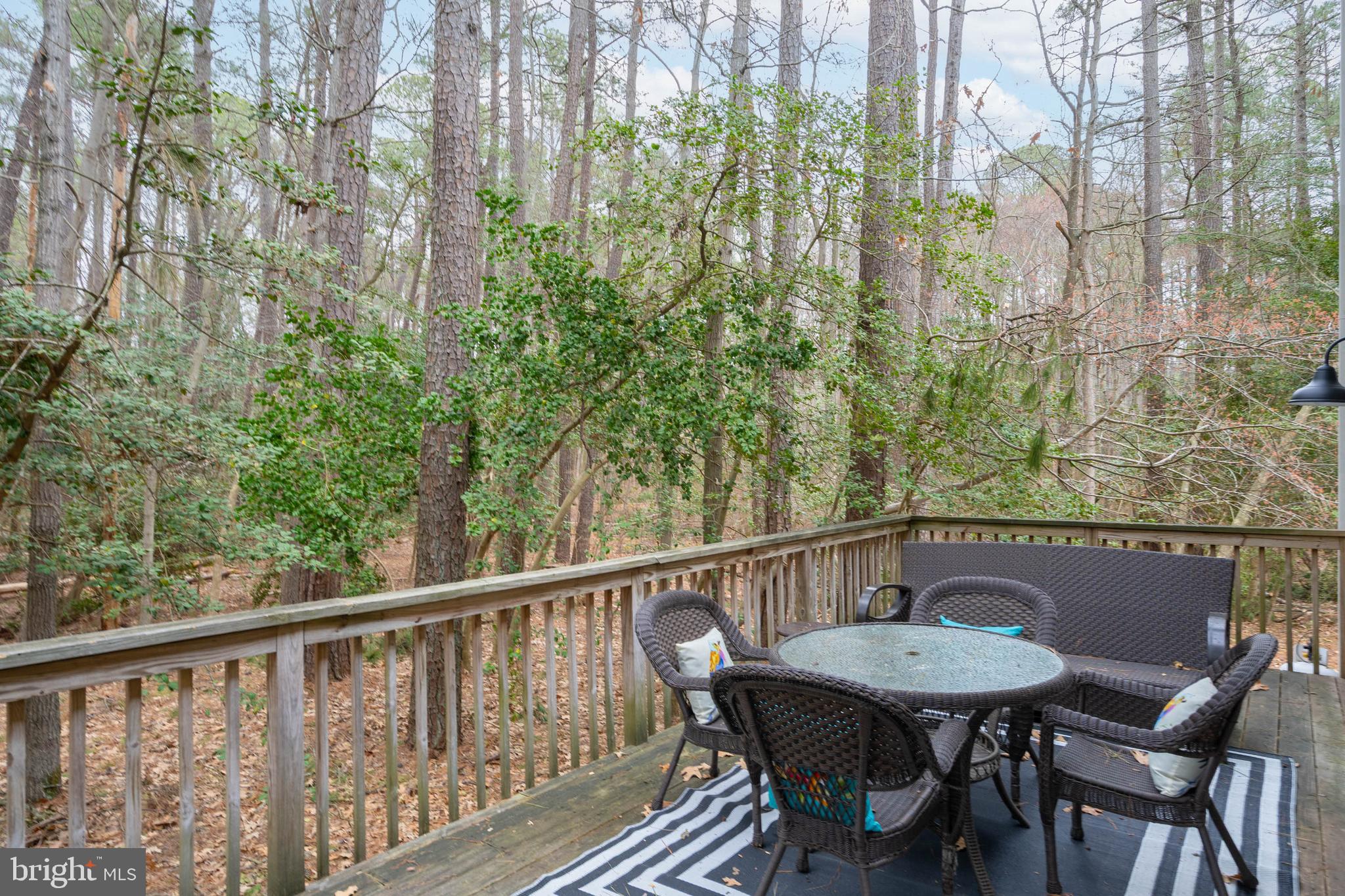 34521 Bookhammer Landing Road Lewes, DE 19958 - Photo 34 of 43 Private wooded oasis