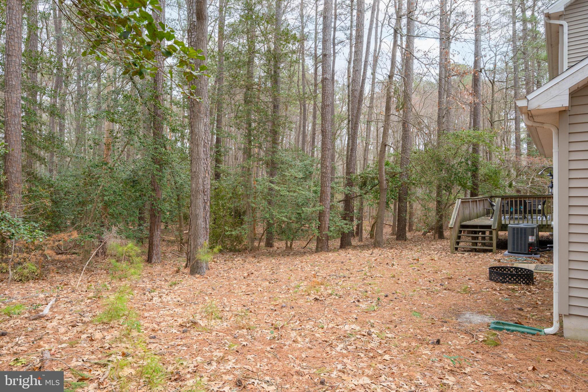 34521 Bookhammer Landing Road Lewes, DE 19958 - Photo 36 of 43 Backyard
