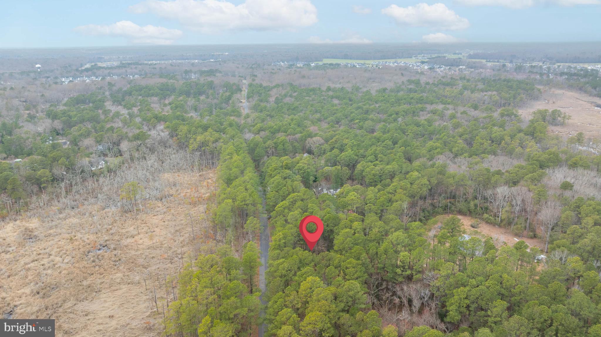 34521 Bookhammer Landing Road Lewes, DE 19958 - Photo 41 of 43