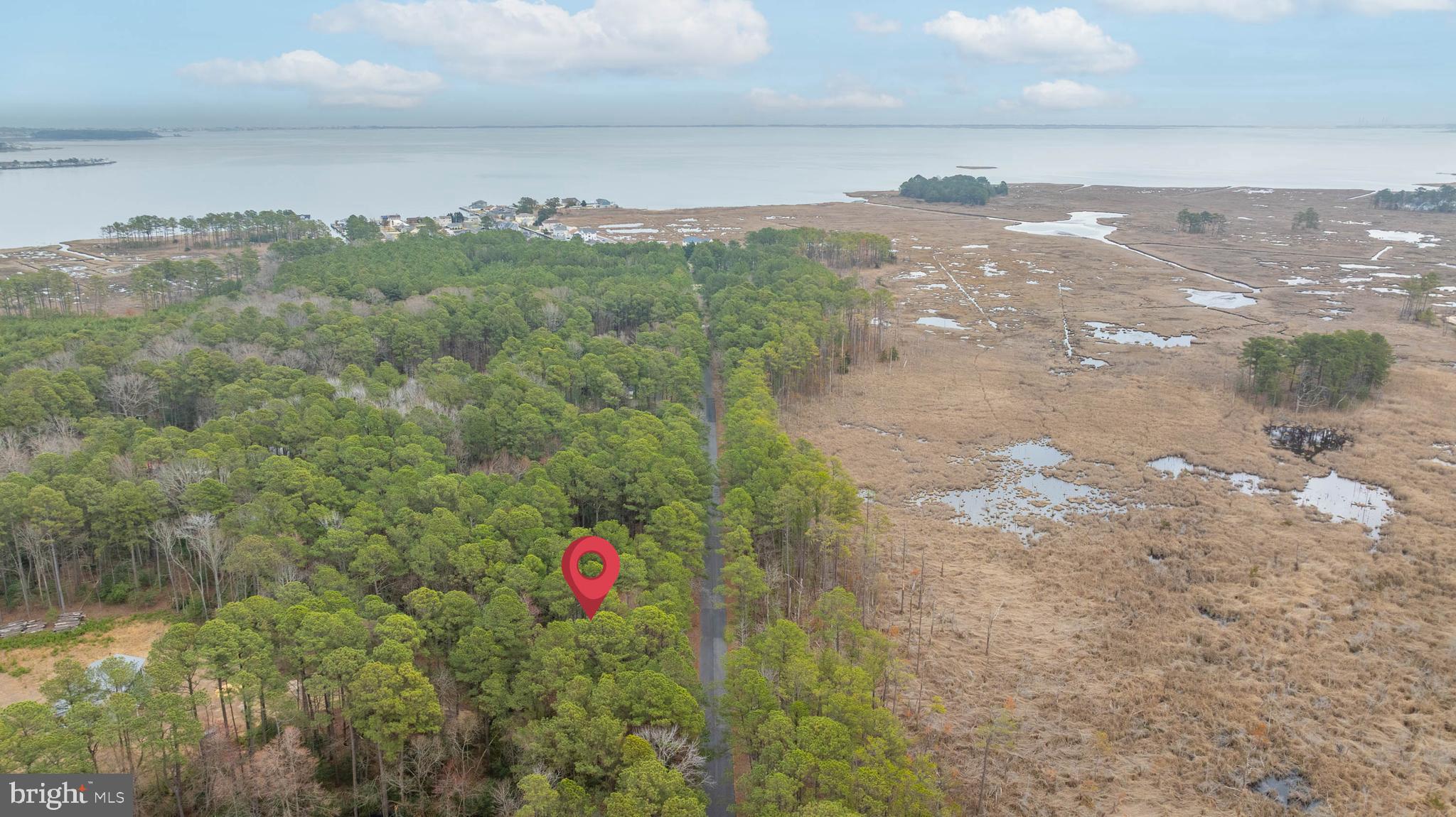 34521 Bookhammer Landing Road Lewes, DE 19958 - Photo 42 of 43