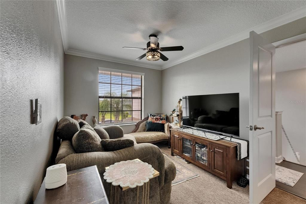 5057 Ivory Stone Drive Wimauma, FL 33598 - Photo 29 of 46 a living room with furniture and a flat screen tv