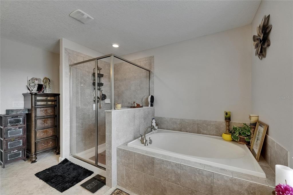 5057 Ivory Stone Drive Wimauma, FL 33598 - Photo 31 of 46 a bathroom with a tub and a shower