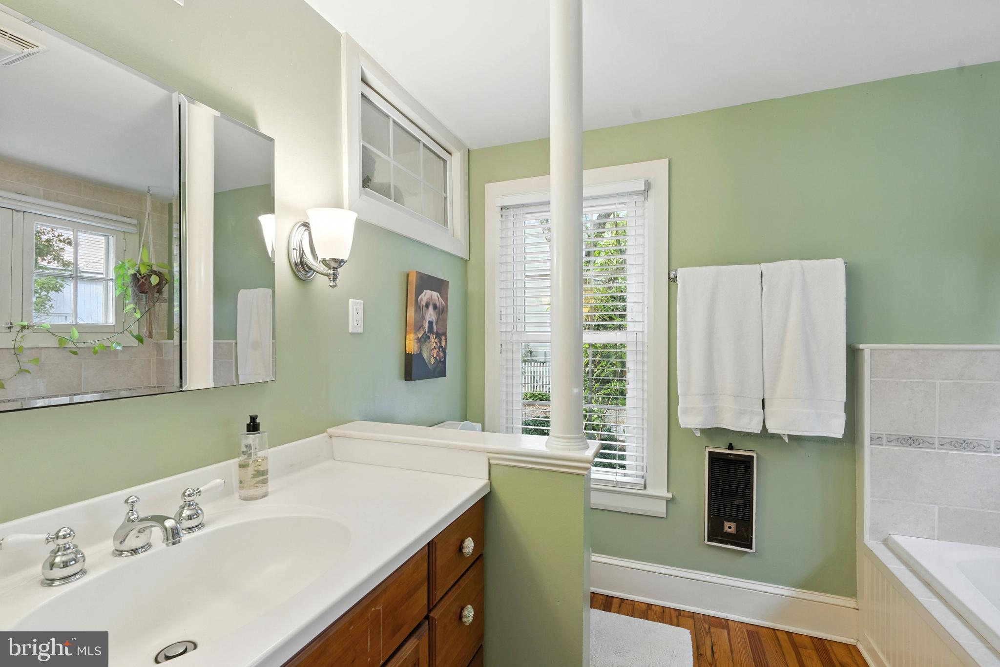 110 South Mill Street Chestertown, MD 21620 - Photo 11 of 39 a bathroom with a sink double vanity and a mirror
