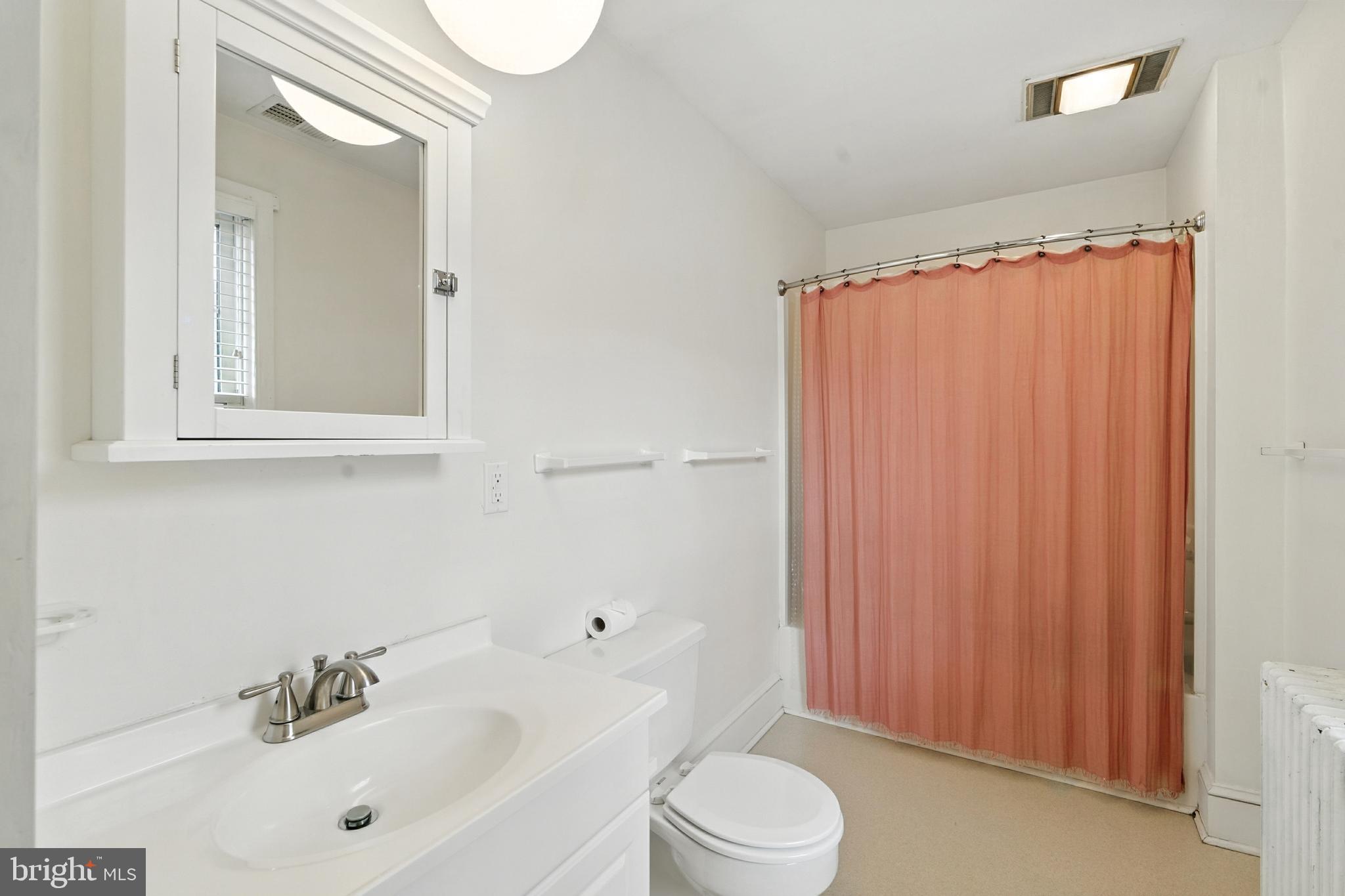 110 South Mill Street Chestertown, MD 21620 - Photo 20 of 39 a bathroom with a sink a toilet and shower