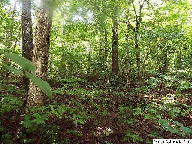 Holiday Drive, Unit 16 17 Ragland, AL 35131 - Photo 1 of 8