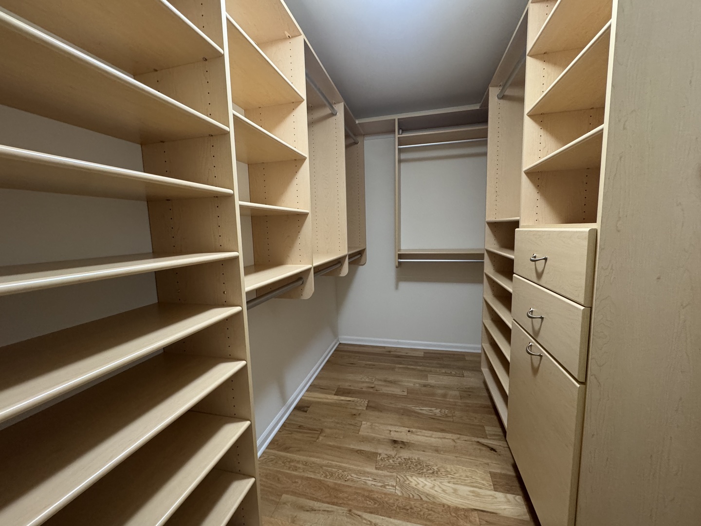 30 Nugent Street, Unit 430 Glenwood, IL 60425 - Photo 8 of 18 a view of walk in closet with empty racks