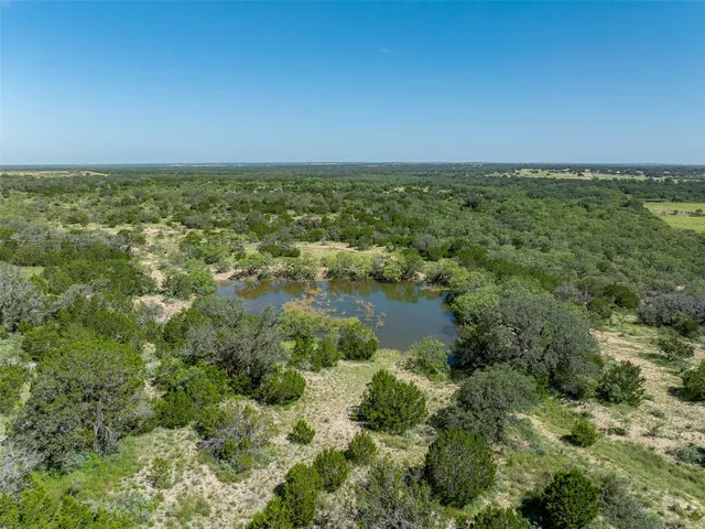 a view of a plant in a yard