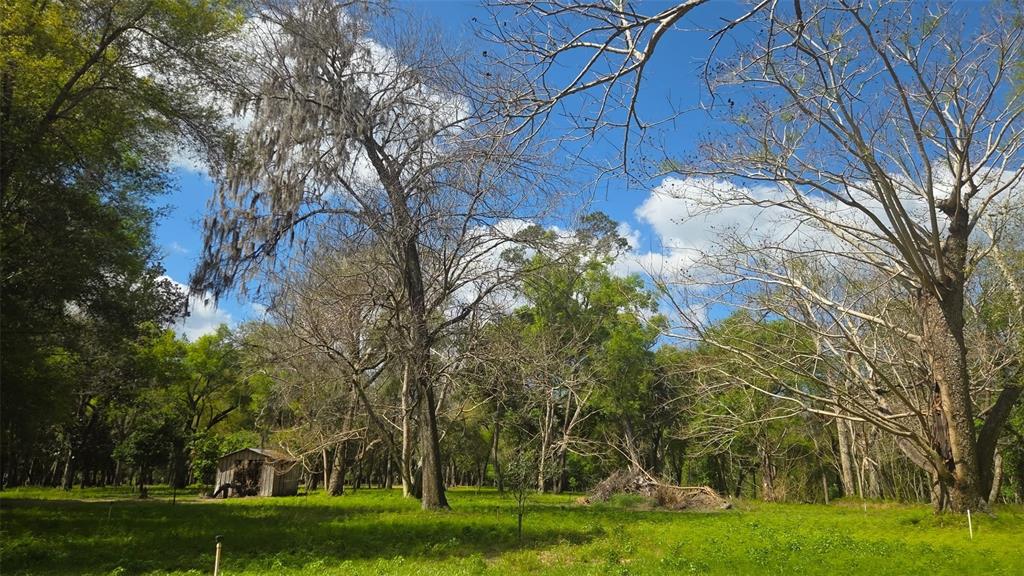 2140 St Johns River Road Astor, FL 32102 - Photo 2 of 13 a view of a park