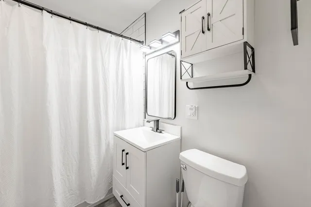 a bathroom with a sink a toilet and shower curtain