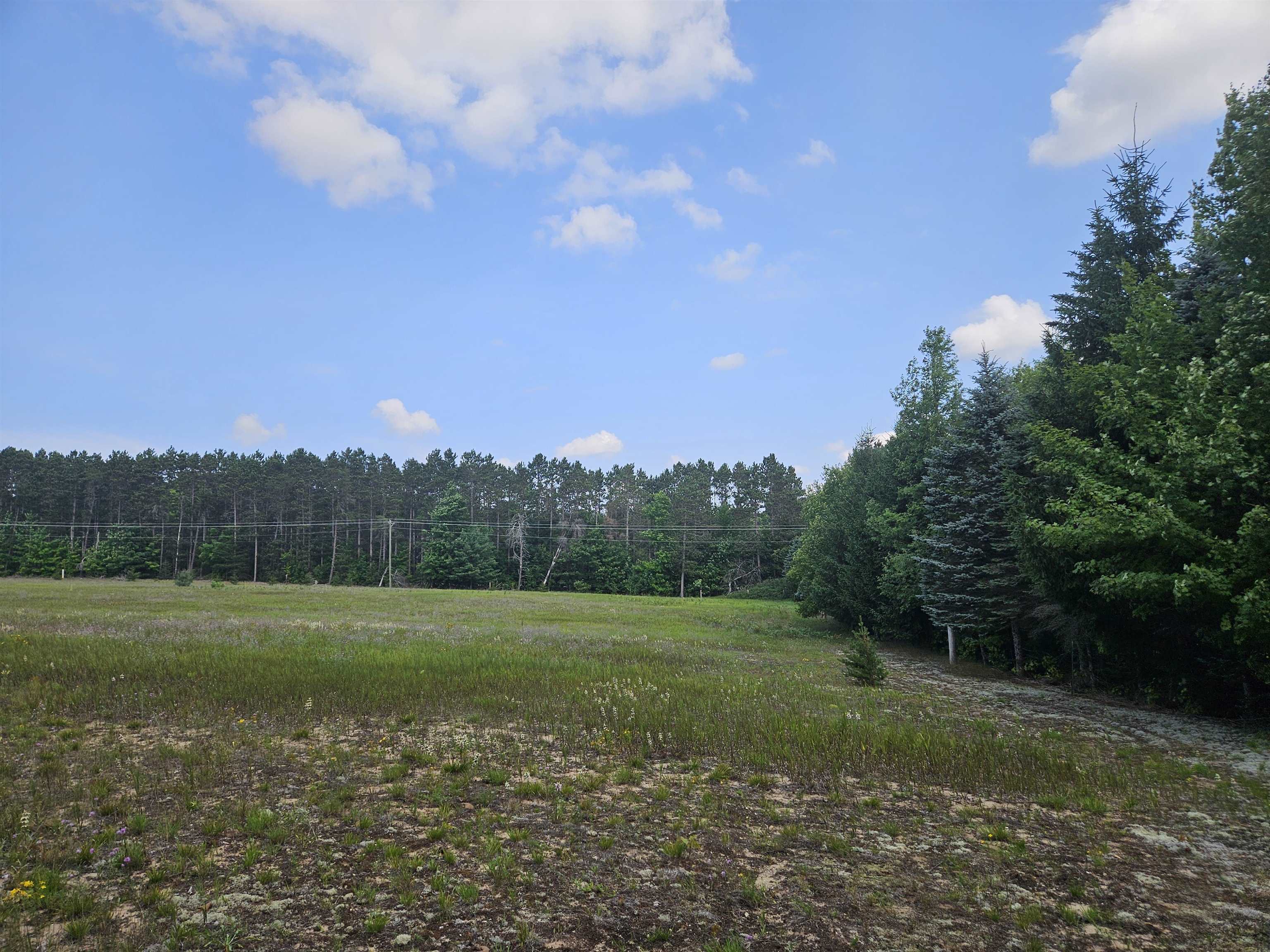 19172 Cedar Run Road Traverse City, MI 49684 - Photo 1 of 8 1949224-fb6bee49-054b-49e6-b499-34498ce8bbd6.JPG