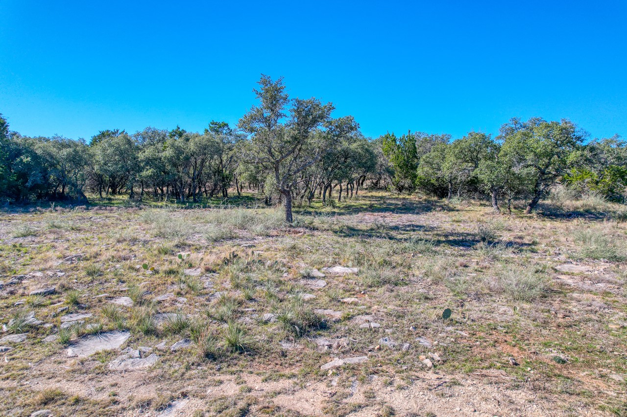 415 Longview Lane Cherokee, TX 76832 - Photo 6 of 10 a view of dirt yard with trees